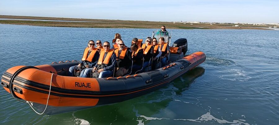 From Faro: Dolphin Watching & 2 Islands Tour - Praia da Ilha Deserta: Beach Time, Swimming, and Tidal Drama