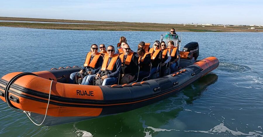 From Faro: Wildlife and Dolphin-Watching Speedboat Tour - Who This Tour Fits Best (And Who Should Skip It)