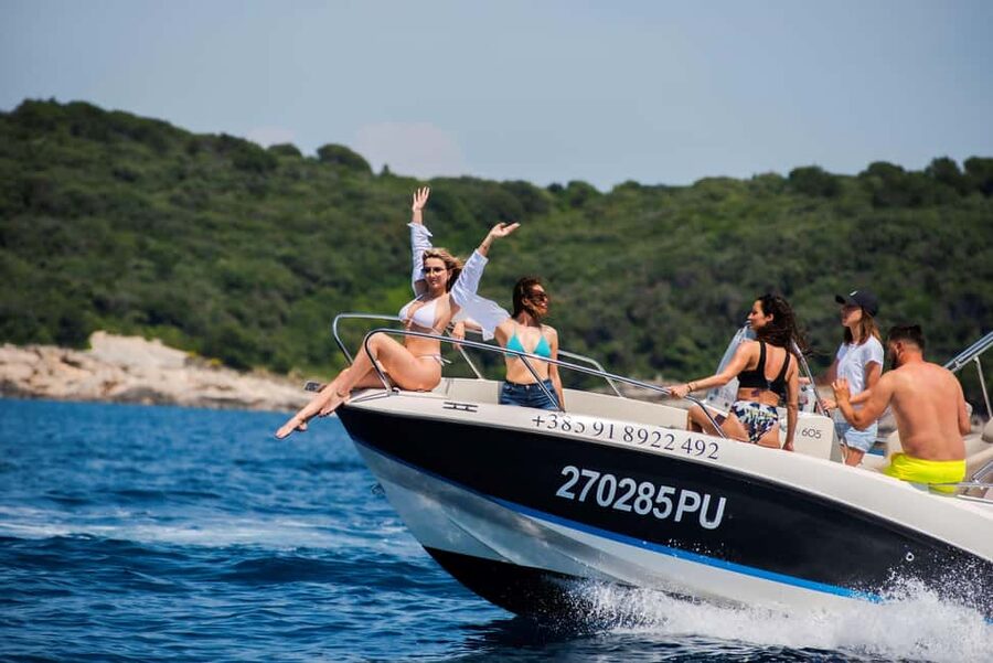 From Fazana: Dolphin watching and snorkeling in Blue Cave - Dolphin hunt on the Adriatic: how to set yourself up for success