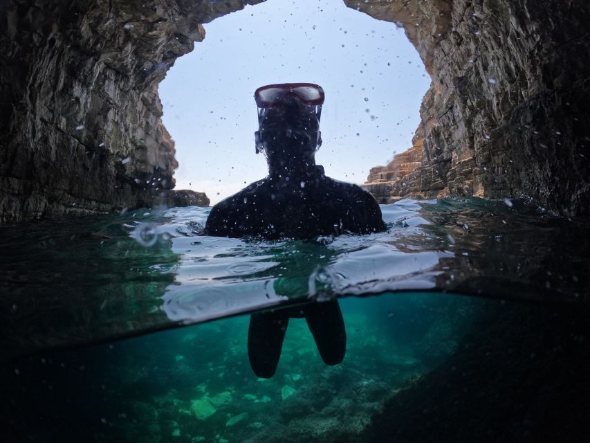 From Fazana: Dolphin watching and snorkeling in Blue Cave - Price and value: $365 for up to 6 people works if you fill the group