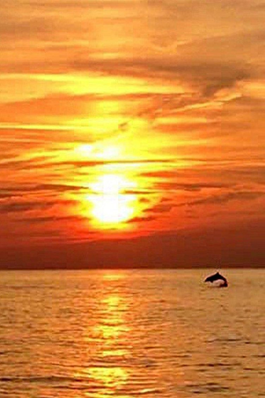From Fazana: Dolphin watching sightseeing cruise at sunset - A Traditional Wooden Boat With Real Stability (and Nice Views)