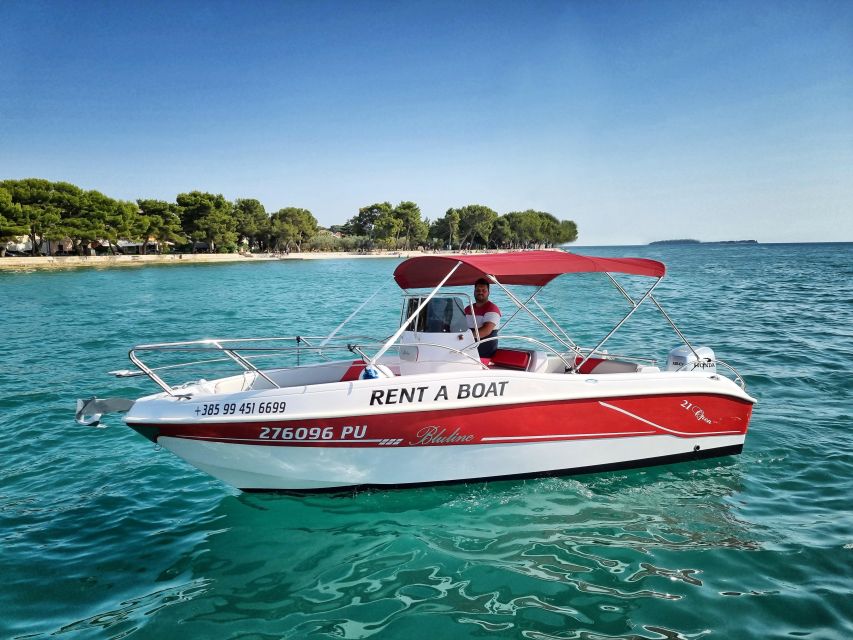 From Fazana: Private sunset dolphin tour - Price and Value: Is $318 per Group Worth It?