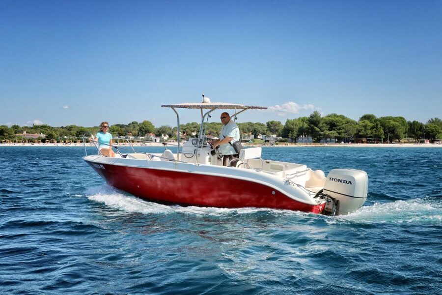 From Fazana: Private sunset dolphin tour - Will You See Dolphins? Odds, Reality, and What to Do If You Don’t