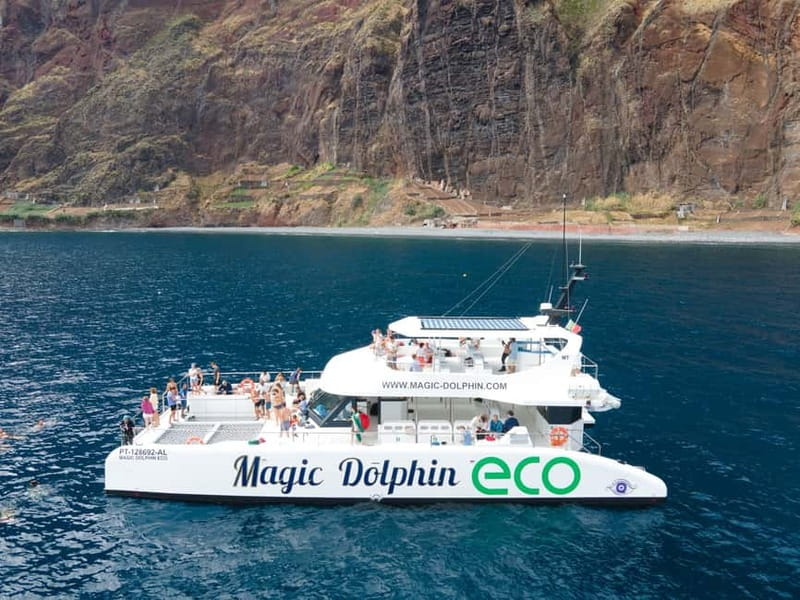 From Funchal: Ecological Catamaran Dolphin Whale Watching - Madeira’s eco catamaran: what makes this cruise different
