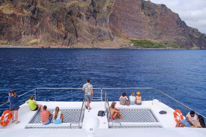 From Funchal: Ecological Catamaran Dolphin Whale Watching - What happens on the water during the 3 hours