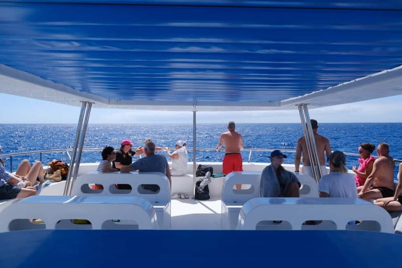 From Funchal: Ecological Catamaran Dolphin Whale Watching - Returning along the south coast: Cabo Girão and Câmara de Lobos views
