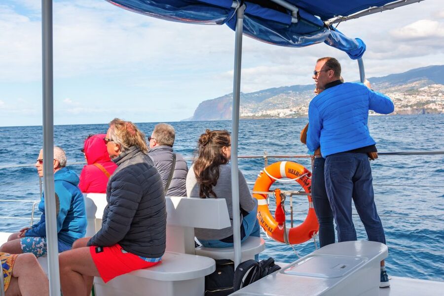From Funchal: Madeira Dolphin and Whale Watching Tour - Should you book the Madeira dolphin and whale tour from Funchal?