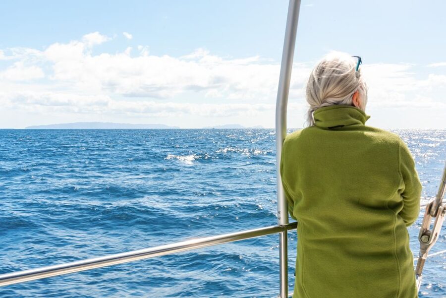 From Funchal: Madeira Dolphin and Whale Watching Tour - Cruising past Madeira’s south coast: the views aren’t filler