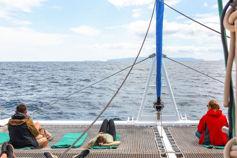 From Funchal: Madeira Dolphin and Whale Watching Tour - Who should book this Madeira whale and dolphin catamaran?