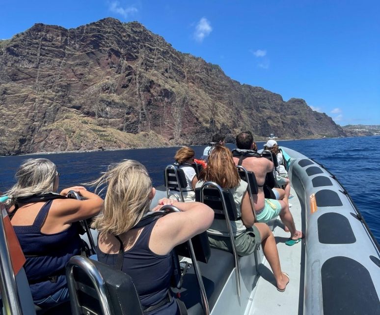 From Funchal: Whale and Dolphin Watching - Marine Biologists and Land Spotters: How the Hunt Works
