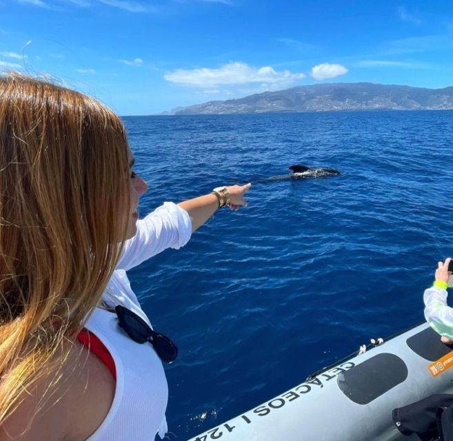 From Funchal: Whale and Dolphin Watching - Swimming Time and Getting Wet: What the Ocean Part Really Means