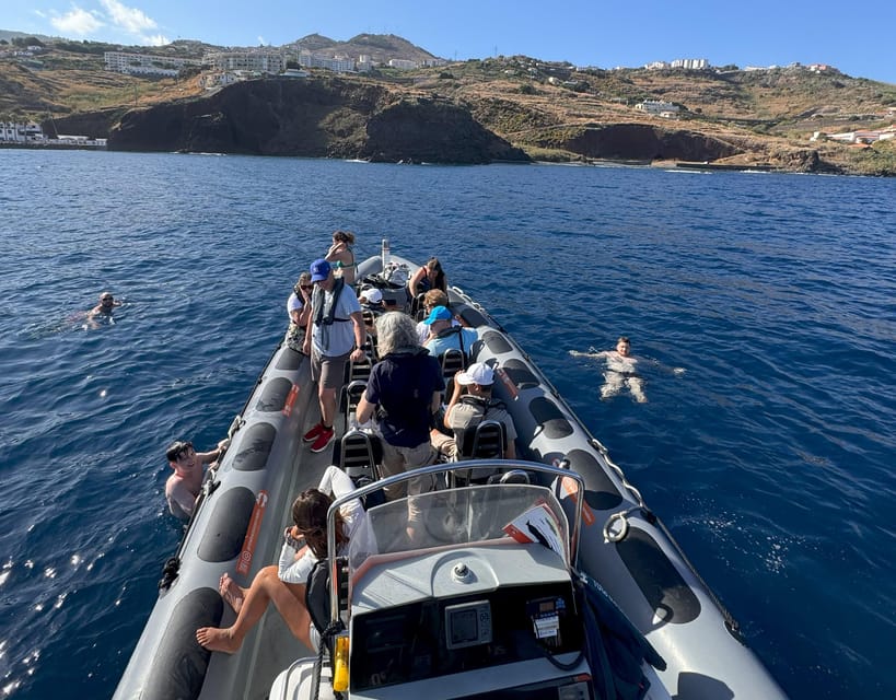 From Funchal: Whale and Dolphin Watching - Price and Value: Why $56 Can Be a Smart Buy Here