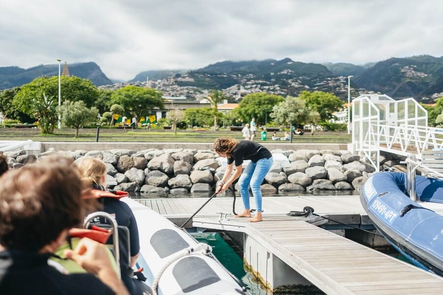 From Funchal: Whales and Dolphin Adventure Tour - Key highlights I’d prioritize