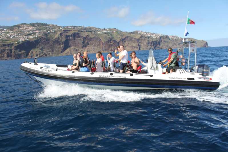 From Funchal: Whales and Dolphin Adventure Tour - Madeira Whale and Dolphin Adventure: what the 2 hours really feels like