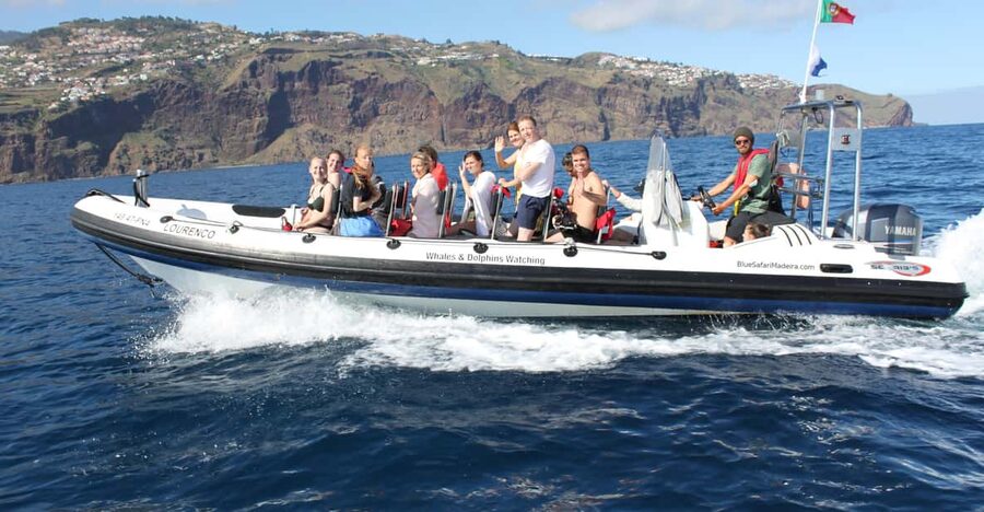 From Funchal: Whales and Dolphin Adventure Tour - Where you’ll spend your time: cruising the edge of Madeira