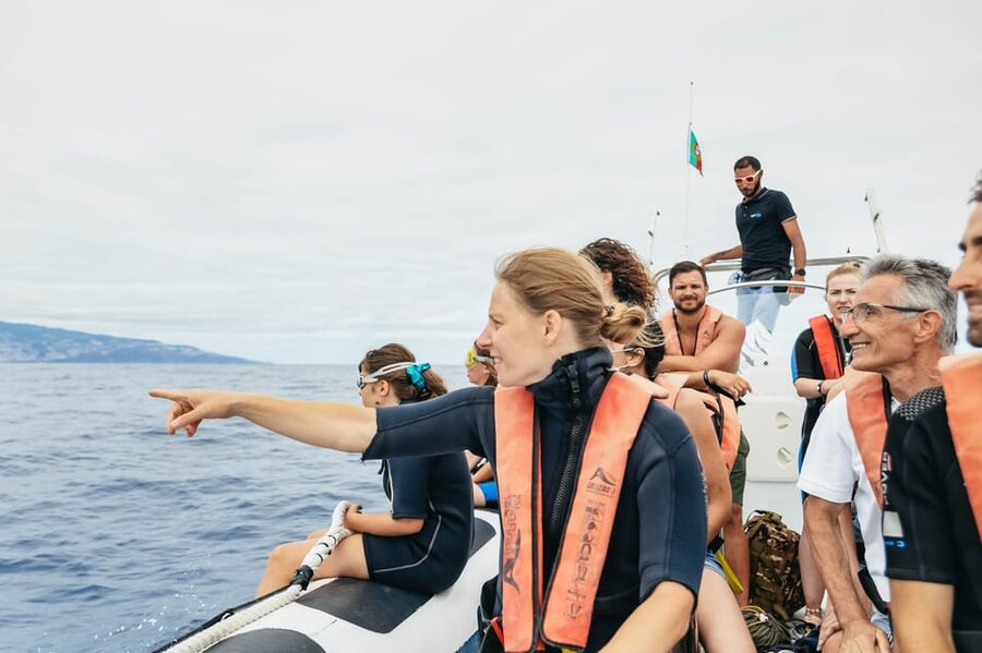 From Funchal: Whales and Dolphin Adventure Tour - Guides on board: marine biologists, clear rules, and solid storytelling