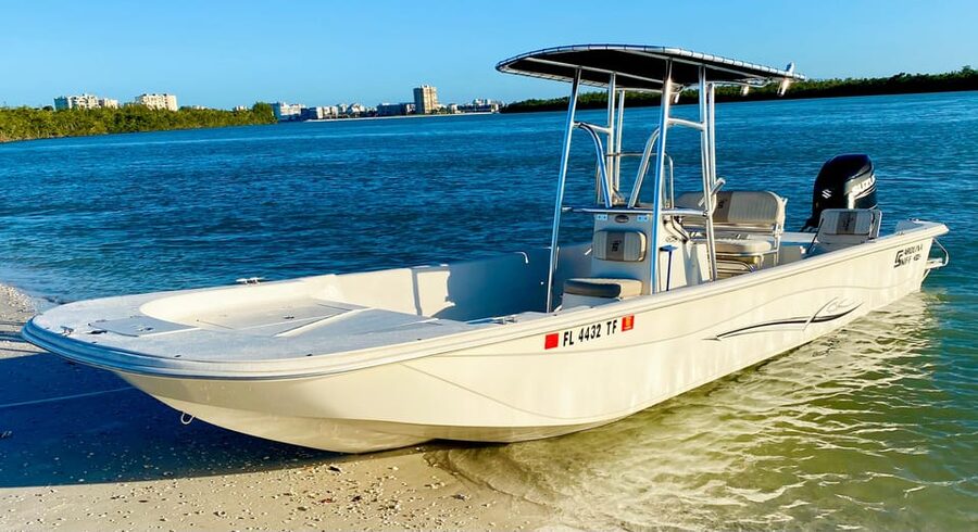From Goodland: Private Shelling and Dolphin Watching Cruise - Dolphin watching that feels personal (and sometimes cinematic)