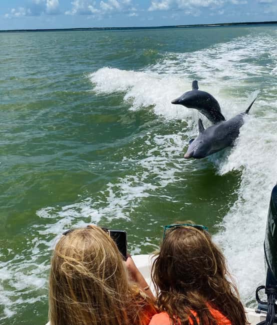 From Goodland: Private Shelling and Dolphin Watching Cruise - Shelling on remote barrier islands: the souvenir part you’ll actually use