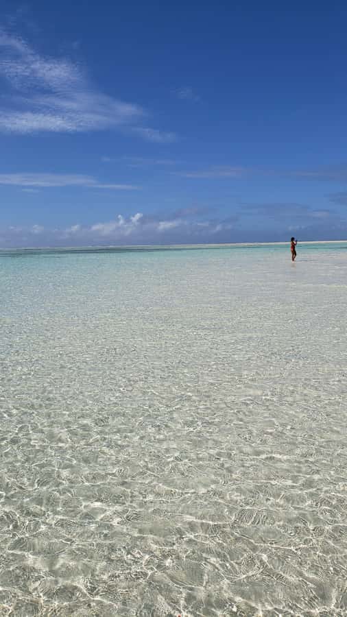 From Kendwa: Mnemba Boat Trip and Dolphin Snorkel Adventure - Dolphin swimming: the main event, and why the crew’s approach matters