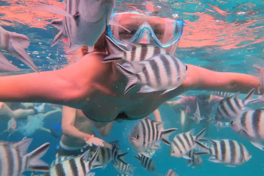 From Kendwa: Mnemba Boat Trip and Dolphin Snorkel Adventure - Snorkeling Mnemba Atoll coral: what you’ll actually focus on
