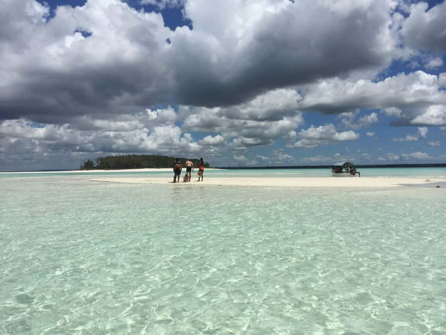 From Kendwa: Mnemba Boat Trip and Dolphin Snorkel Adventure - Price and value: is $50 worth it in Zanzibar?