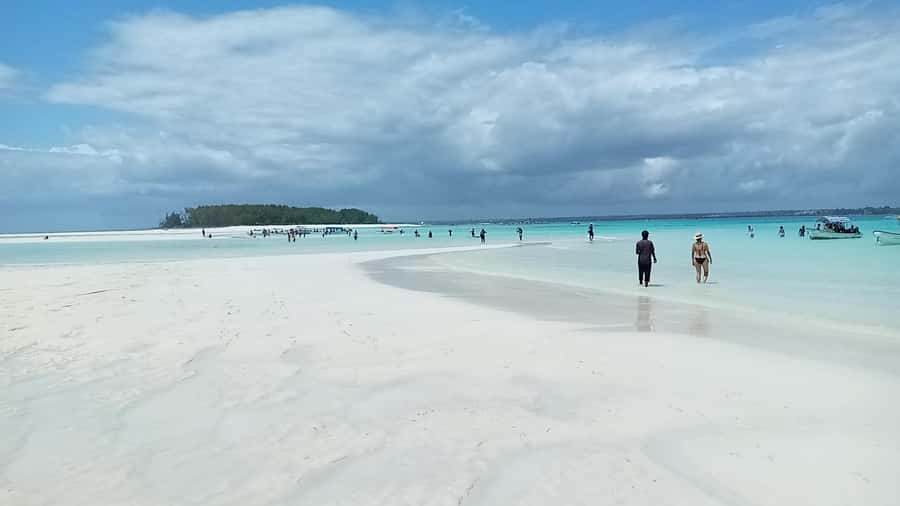 From Kendwa: Mnemba Boat Trip and Dolphin Snorkel Adventure - Practical tips to make your Mnemba morning smoother