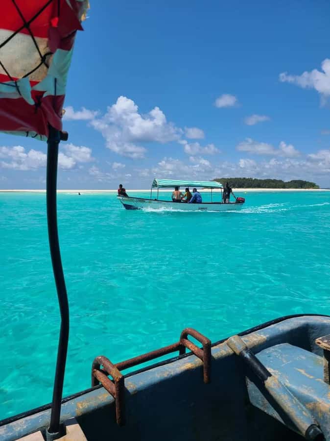 FROM KENDWA; Mnemba snorkelling and Dolphin tour - Quick hits before you go