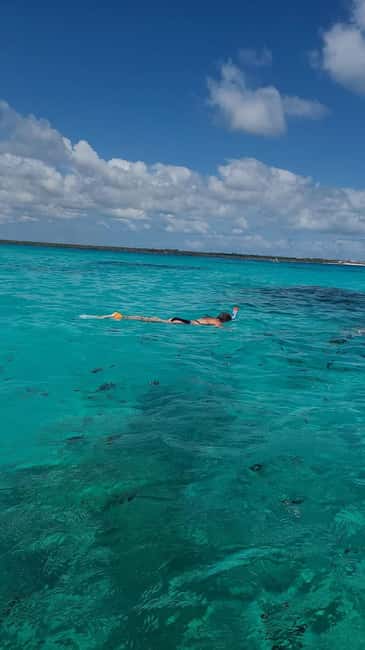 FROM KENDWA; Mnemba snorkelling and Dolphin tour - What’s included in the $45 value: guide, transport, fruits, and water