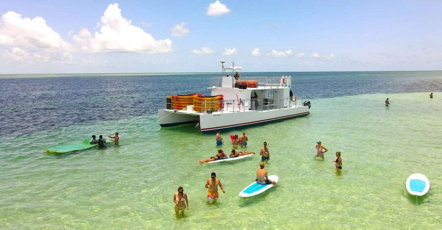 From Key West: Dolphin Watching Tour with Lunch & Drinks - Setting Sail From Key West for a Beach-and-Wildlife Day