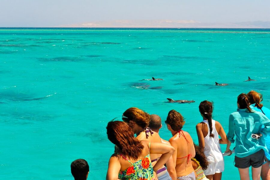 From Key West: Dolphin Watching Tour with Lunch & Drinks - Florida Marine Sanctuary Dolphin Watching: Up Close, With Crew Guidance