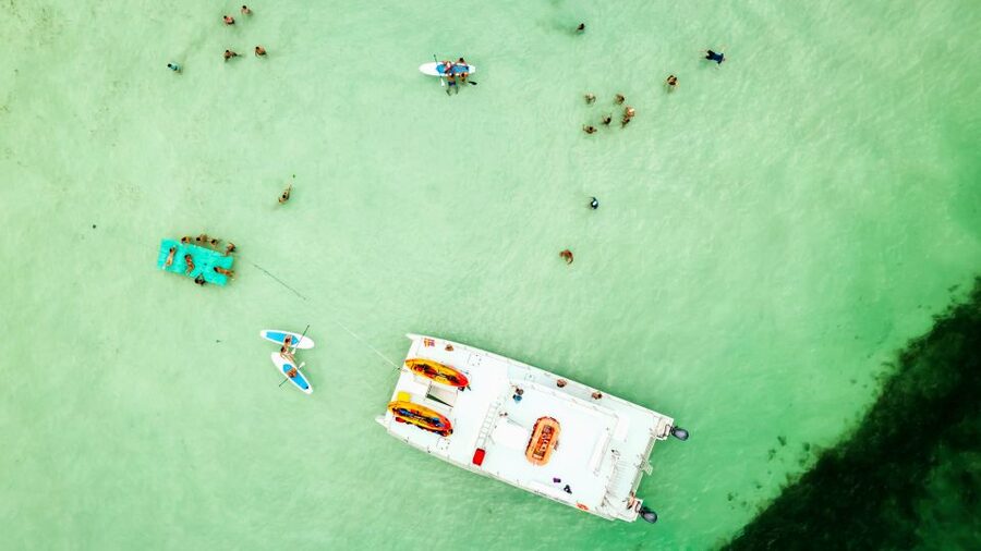 From Key West: Dolphin Watching Tour with Lunch & Drinks - Drinks, Sun, and That 5-Hour Rhythm