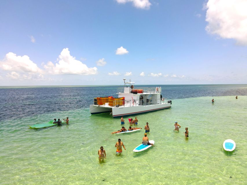 From Key West: Dolphin Watching Tour with Lunch & Drinks - Who This Dolphin Tour Fits Best (and Who Might Want Something Else)