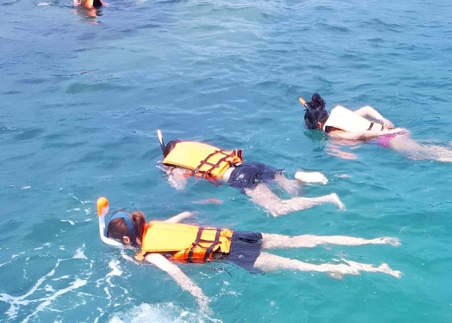 From Koh Samui: Pink Dolphin Boat Tour to Khanom with Lunch - Speedboat to Khanom: Dolphin Watching and What You Should Expect