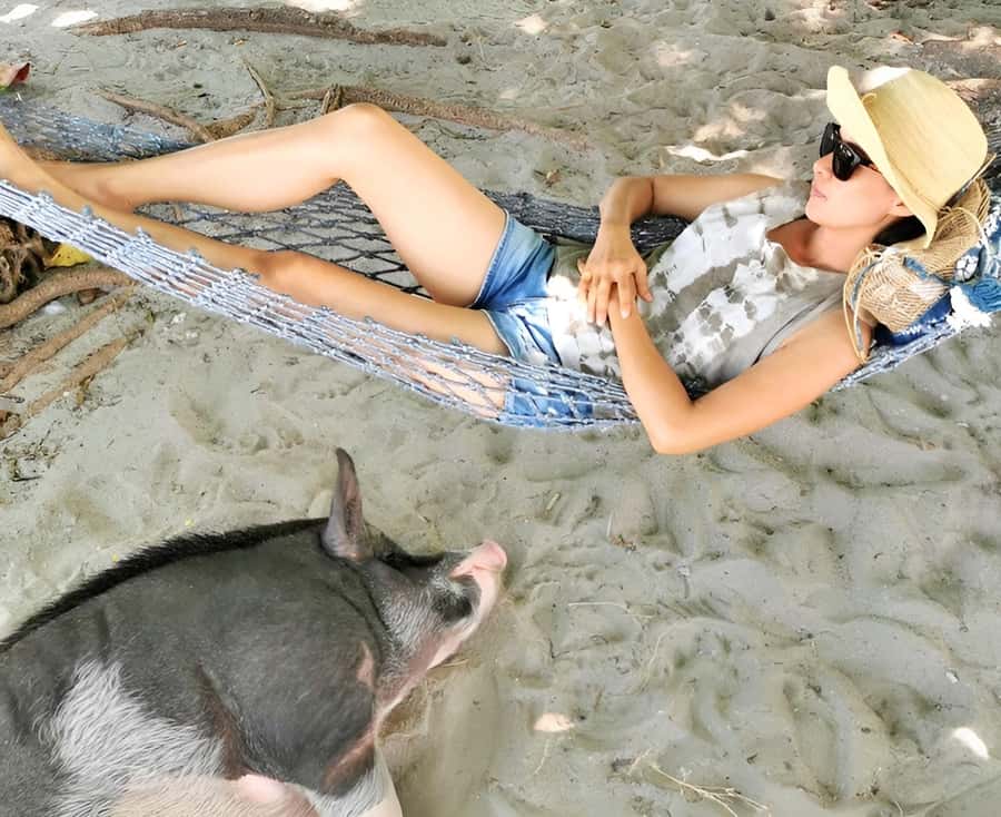 From Koh Samui: Pink Dolphin Boat Tour to Khanom with Lunch - Koh Tan Snorkeling: Gear Included, but Water Conditions Can Change