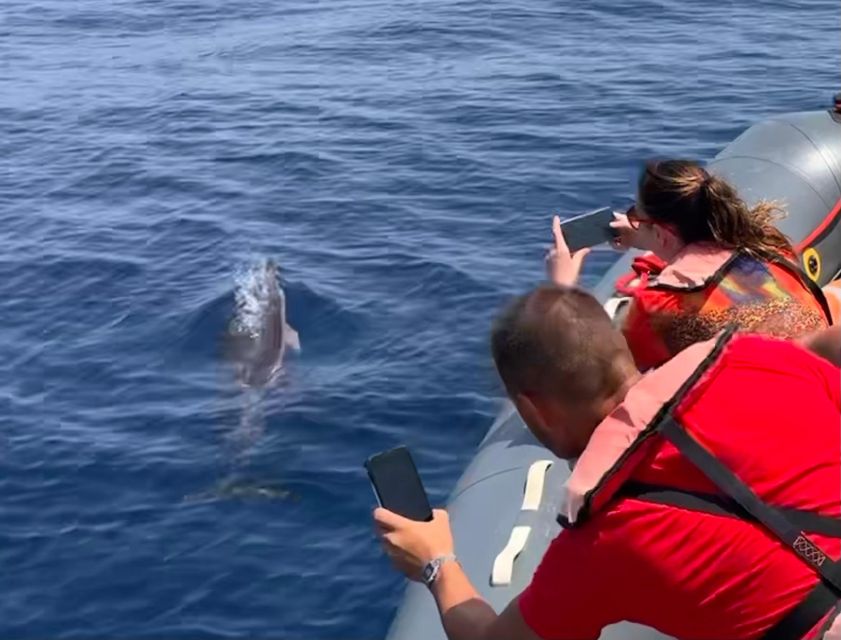 From Lagoa: Dolphins & Ponta da Piedade with biologist guide - Key things to know before you go