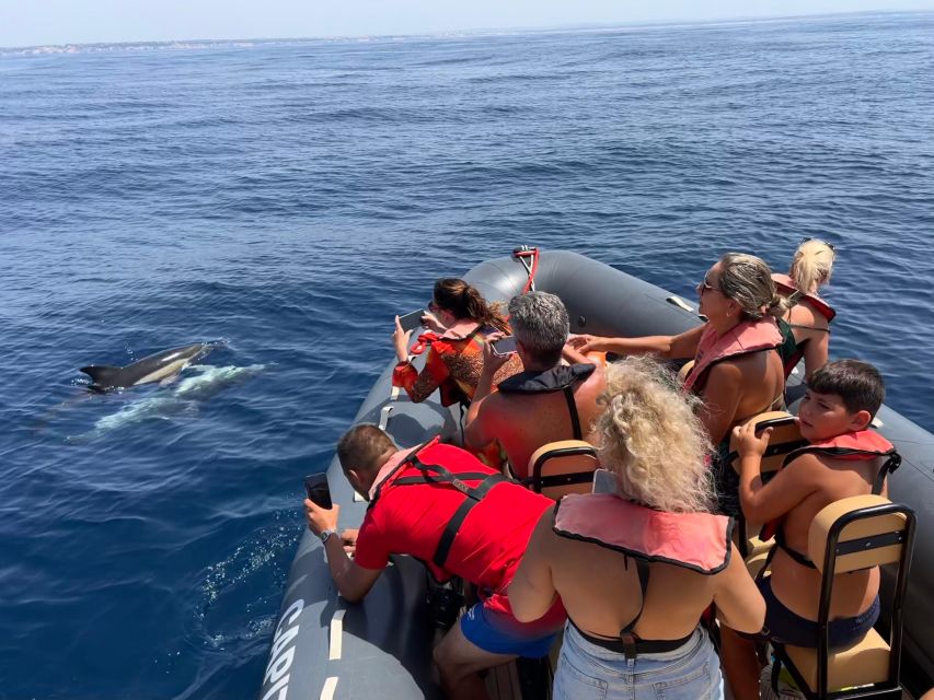 From Lagoa: Dolphins & Ponta da Piedade with biologist guide - The stops and timing that keep the trip from feeling rushed