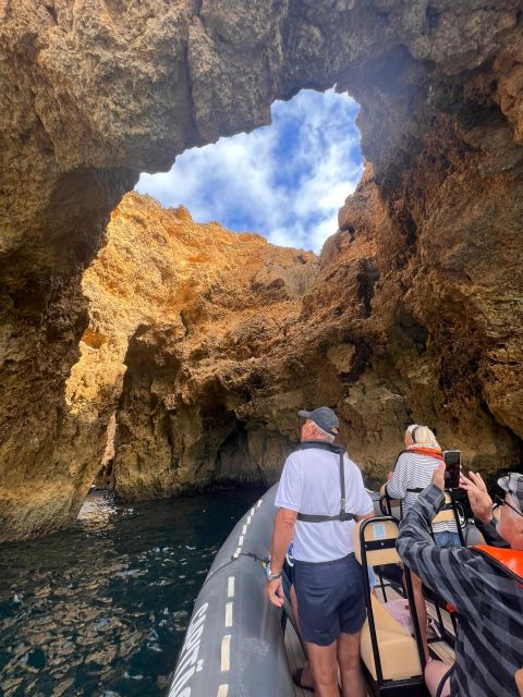 From Lagoa: Dolphins & Ponta da Piedade with biologist guide - What you’ll see beyond dolphins: seabirds, jellyfish, and rare surprises