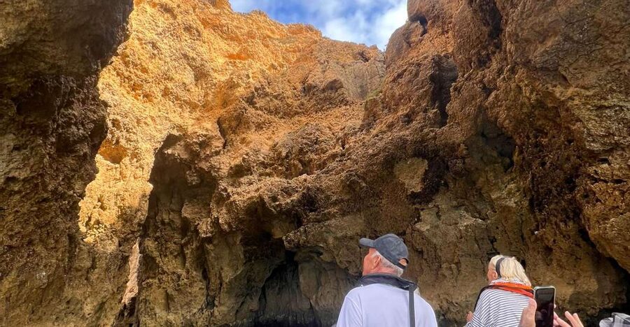 From Lagoa: Dolphins & Ponta da Piedade with biologist guide - Price and value: what $67 is buying you