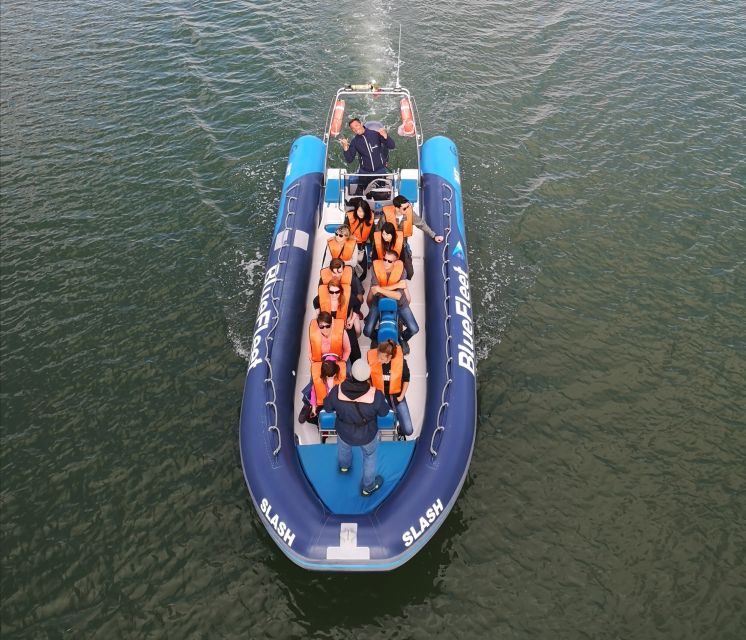 From Lagos: Dolphin Watching Boat Trip w/Marine Biologists - The Boat Ride Reality: Fast, Offshore, and Sometimes Rough