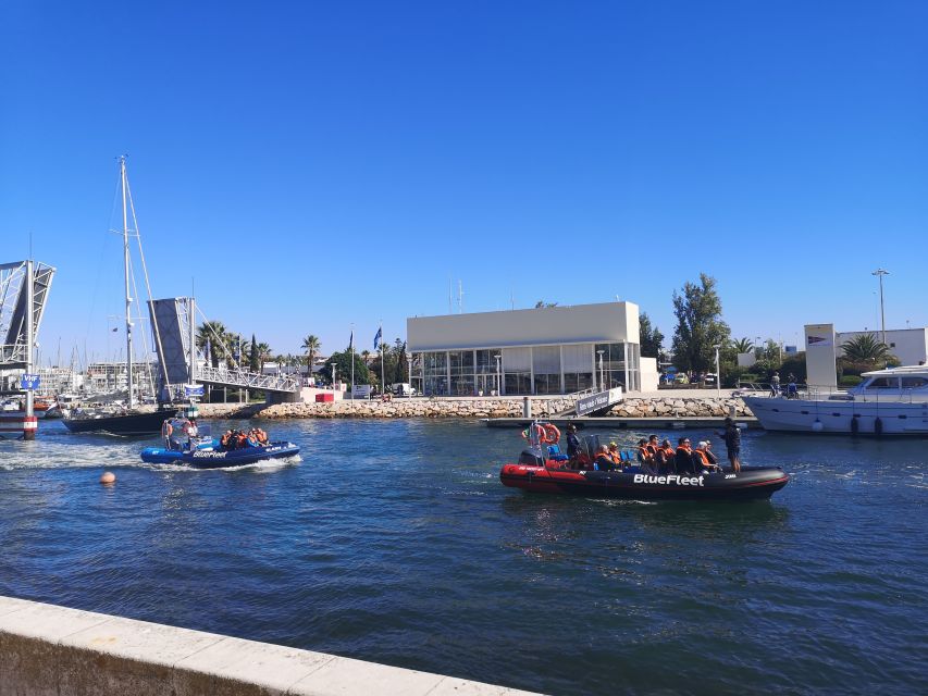 From Lagos: Dolphin Watching Boat Trip w/Marine Biologists - Price and Value: Is $42 Worth It in Lagos?