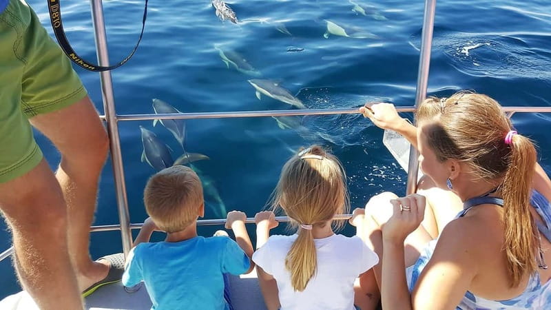 From Lagos: Dolphin Watching Catamaran Cruise - Key things you’ll notice right away