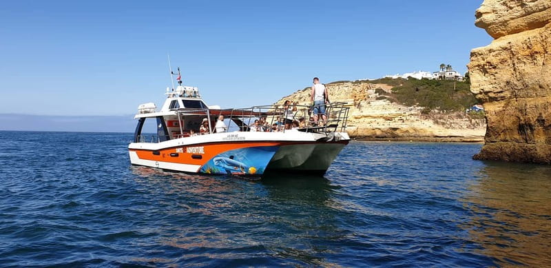 From Lagos: Dolphin Watching Catamaran Cruise - Lagos Dolphin Watching: why this 1.5-hour format works