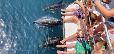 From Lagos: Dolphin Watching Catamaran Cruise - Getting to the water: the VIP meeting point at Marina de Lagos
