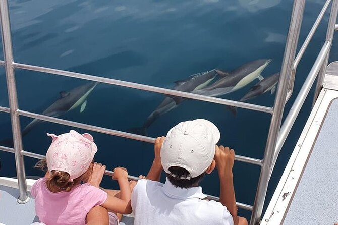 From Lagos: Dolphin Watching Cruise on a Catamaran - Key things to know before you go