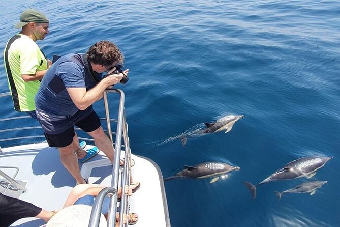 From Lagos: Dolphin Watching Cruise on a Catamaran - Where Marina de Lagos starts: the quick path to open water