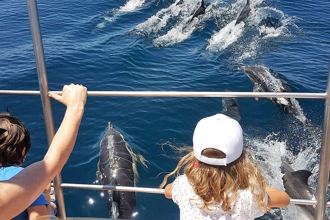 From Lagos: Dolphin Watching Cruise on a Catamaran - Your catamaran’s viewing setup: how you’ll actually get the shot