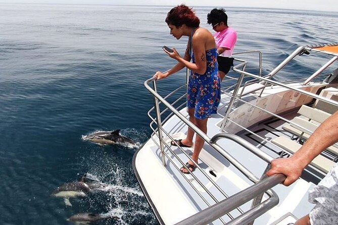 From Lagos: Dolphin Watching Cruise on a Catamaran - Comfort and “real ocean” moments: shade, bathroom, and rough-water risk