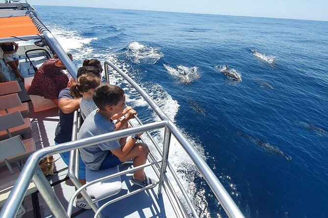From Lagos: Dolphin Watching Cruise on a Catamaran - Crew guidance: how the live commentary actually helps