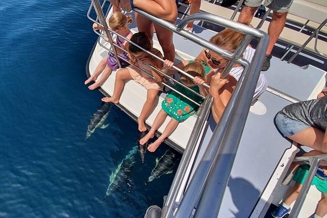 From Lagos: Dolphin Watching Cruise on a Catamaran - Price and value: does $48.39 make sense for 90 minutes?