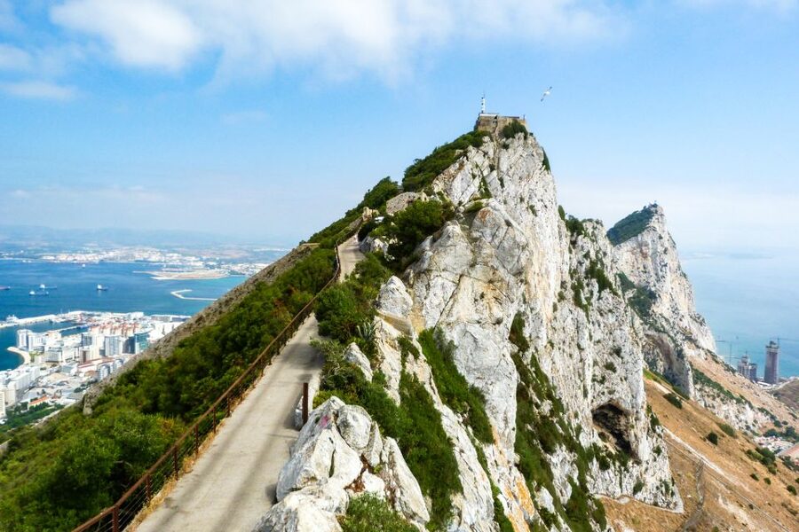 From Malaga: Day trip to Gibraltar and Dolphin Boat Tour - The port and the dolphin boat: 90 minutes in the Mediterranean-Atlantic mix